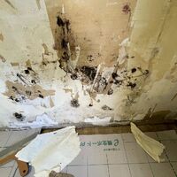 画像1413