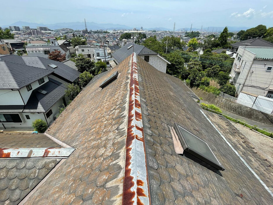 画像1497